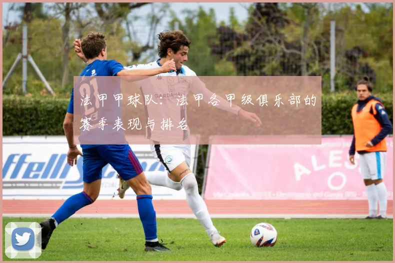 法甲甲球队：法甲各甲级俱乐部的赛季表现与排名