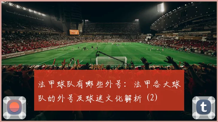 法甲球队有哪些外号：法甲各大球队的外号及球迷文化解析 (2)