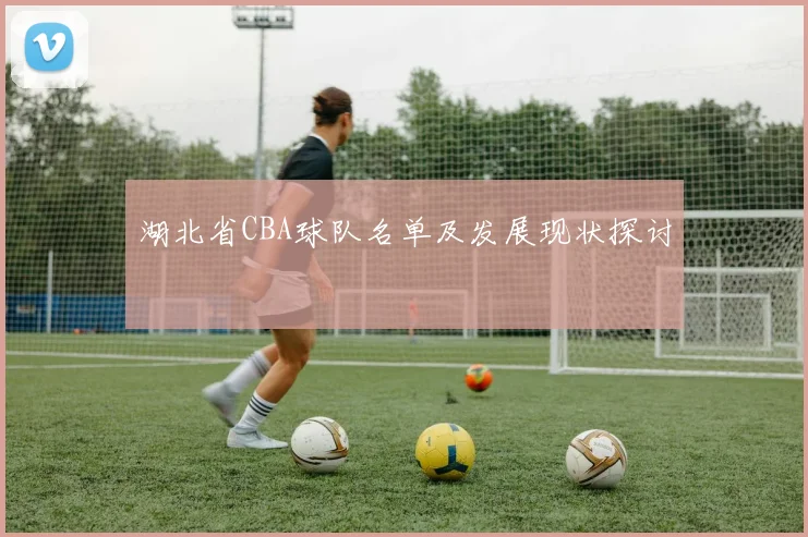 湖北省CBA球队名单及发展现状探讨