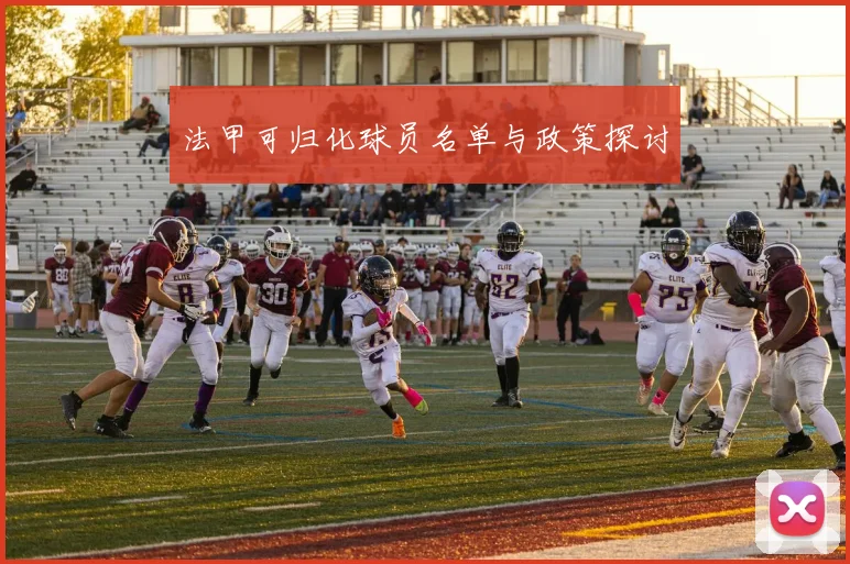 法甲可归化球员名单与政策探讨